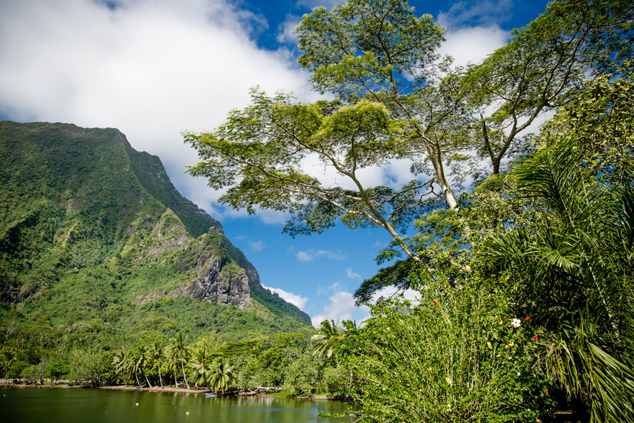 Flitterwochen - Hochzeitsreise Moorea - Baie de Cook | Cook´s Bay