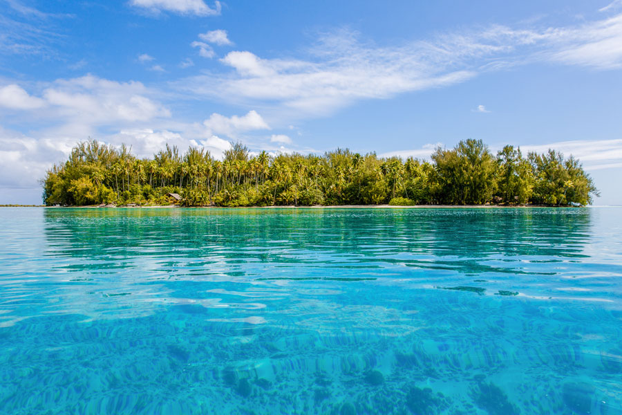 Flitterwochen - Hochzeitsreise Moorea - Motu Tiahura