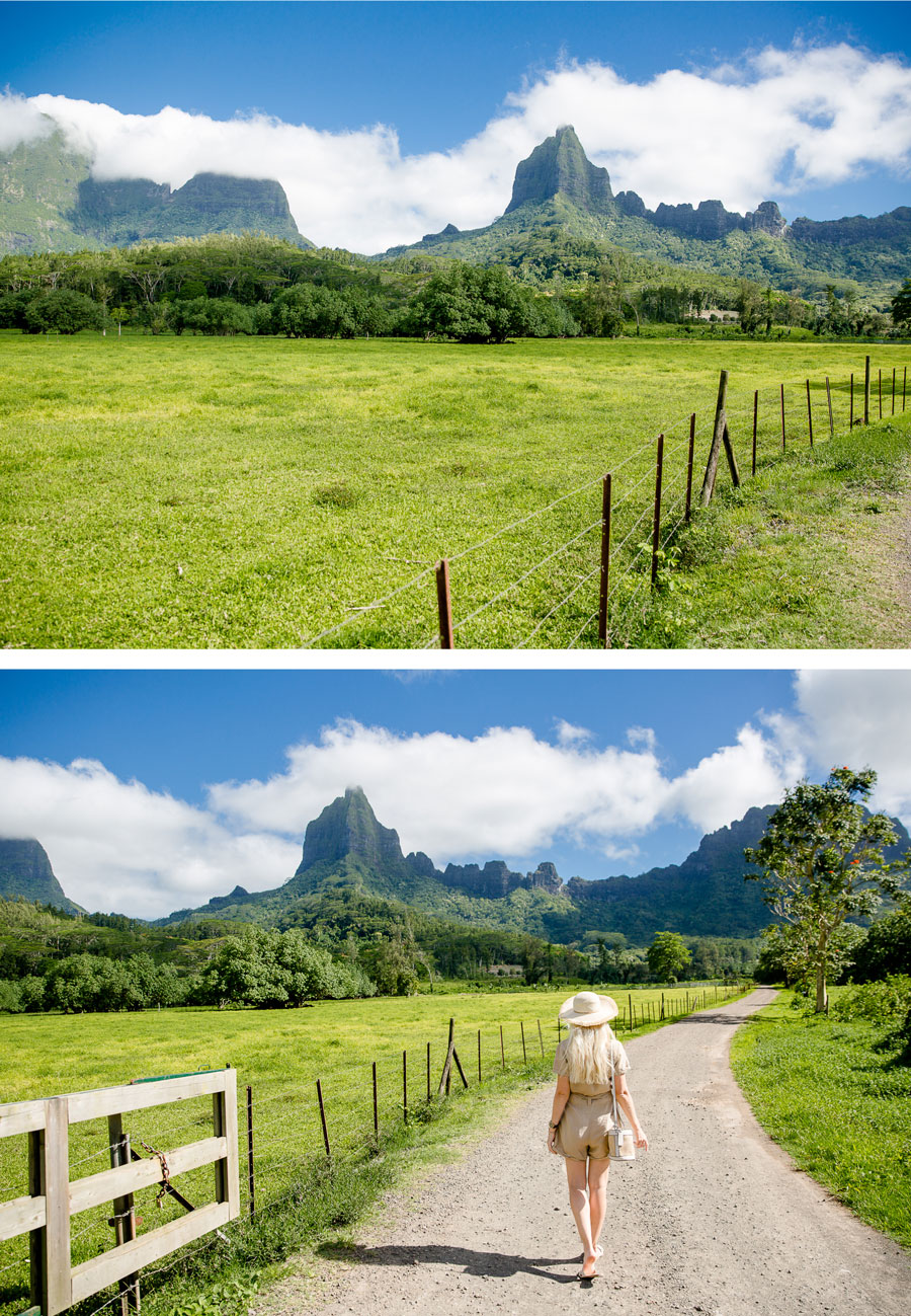 Flitterwochen - Hochzeitsreise Moorea - Valley Opunohu