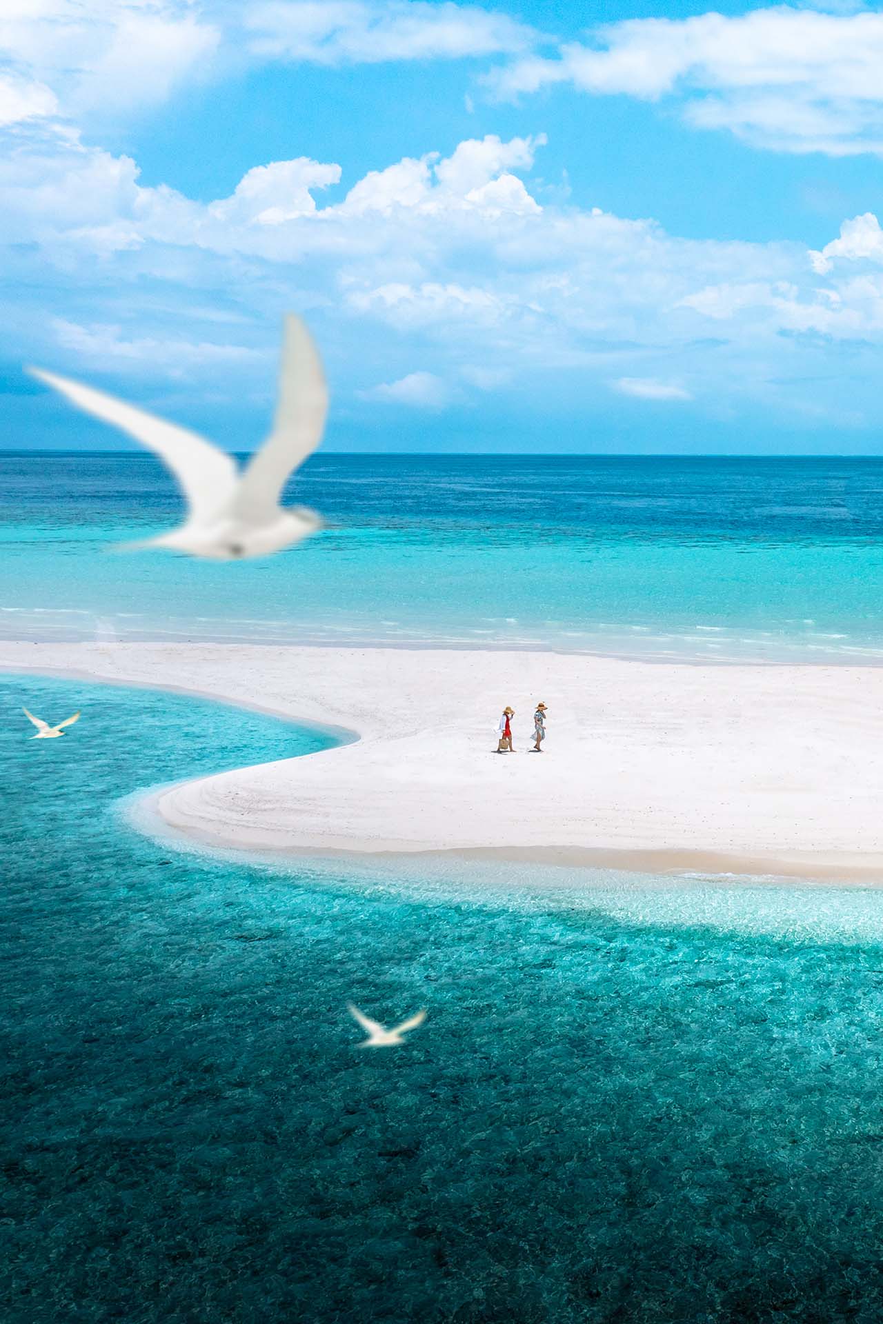 Das Team von Pretty Weddings. Vorbereitung für eine Hochzeit auf einer Sandbank auf den Malediven.